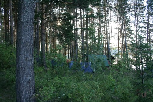 bereg_2009_priroda_3348_flagmanenok-ru